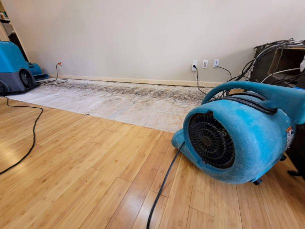 Professional Water Damage Repair technician working in Whitfield, FL